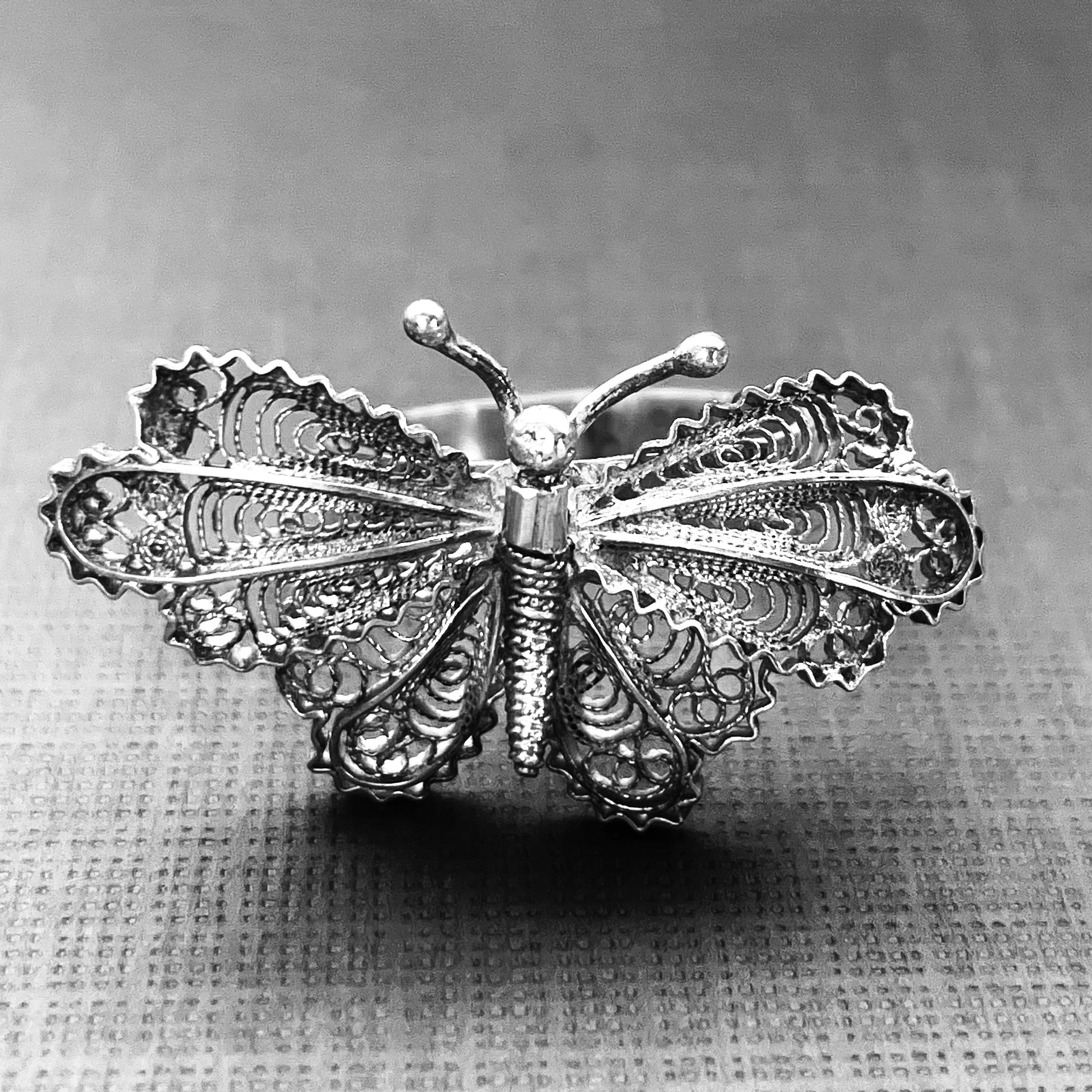 Image of a butterfly composed of tiny coiled silver wires. 